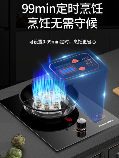 Rongshida Gas Stove Single Burner for Home Use, Liquefied Gas High-Power Stove, Embedded Dual-Use Natural Gas Gas Stove, Single Burner