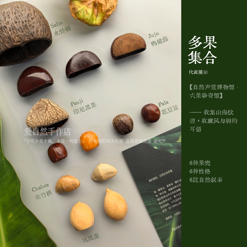 Indonesian Imported Plant Fruit Shell Wind Chime DIY Material Kit, Pre-Drilled Bell, Handmade Bag Hanging Accessory, Same Style as in Tourist Areas Indonesian Imported Plant Fruit Shell Wind Chime DIY Material Kit, Pre-Drilled Bell, Handmade Bag Hanging Accessory, Same Style as in Tourist Areas