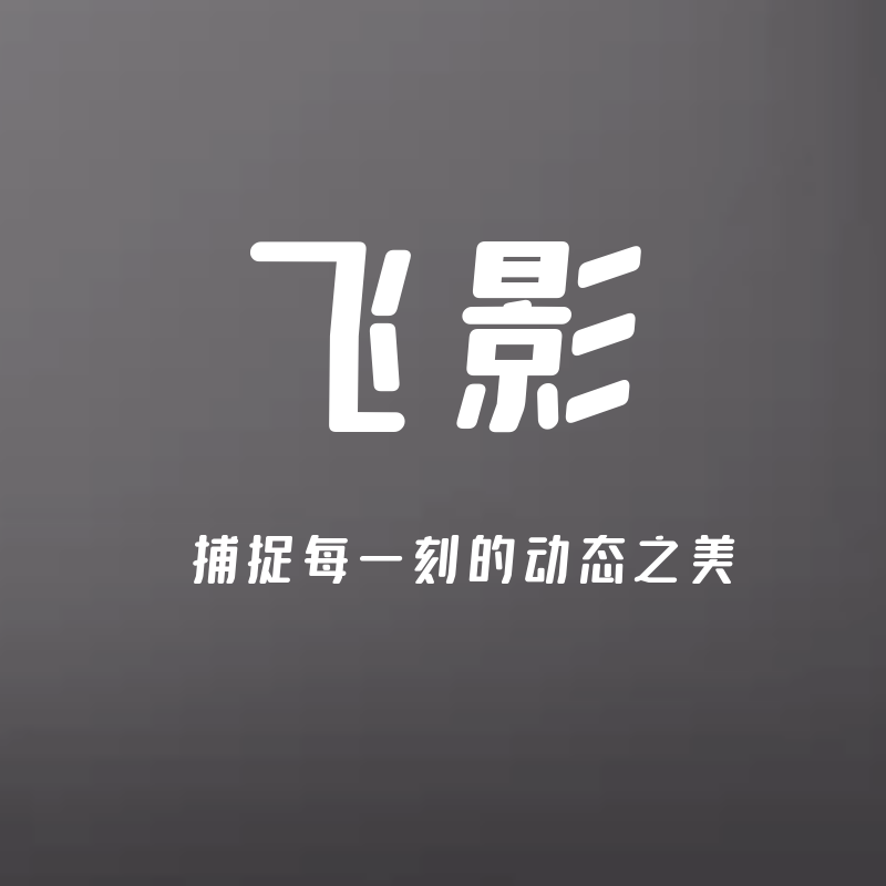 飞影摄影配件工厂店