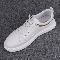European station mens shoes 2022 autumn new mens sneakers trend versatile breathable white shoes sports and leisure shoes