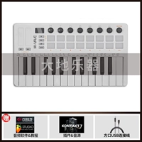 SMK25 II (размер 321x178x46 мм) - белый + педаль поддержания + поддержка программного обеспечения + Учебное пособие