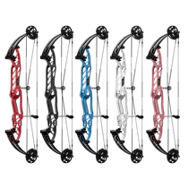 Junxing Stratosphere Hoyt competitive shooting accurate compound bow and arrow archery set professional competition shooting sports training