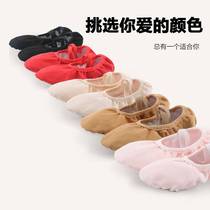 Dance shoes lace-free elasticated soft-soled exercise shoes for girls indoor body yoga cat claw dance shoes