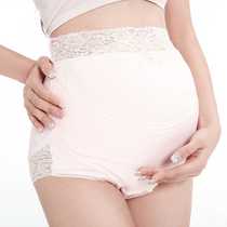 Japanese dog print anti-radiation underwear spoked head anti-pants ejaculation suit maternity short 3-piece maternity wear