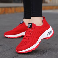 Net HSC1810 Red
