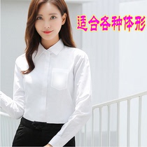 Distribute pure white cotton long-sleeved blouses professional blouses work blouses blouses