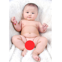 Little boy picture baby portrait poster wall sticker baby doll twins large painting pregnancy preparation doll sticker