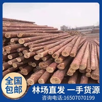 Fir log piles river piles pine wood piles outdoor river revetment pine log piles larch wood piles piling