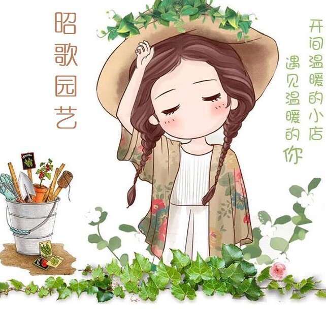 昭歌姑娘园艺店的LOGO