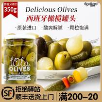 Imported from Spain canned seedless green olive meat pickled cucumber cocktail mini small onions pickled cucumber pitted olives