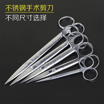 Stainless Steel Scissors Straight Pointed Nurse Surgery Ophthalmology Small Scissors Round Head Dismantling Shears Tissue Shears Home