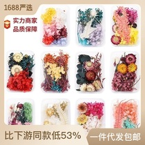 Floating flowers dried flowers preserved flowers DIY glue filled flower materials mini embossed materials Yunnan dried flowers