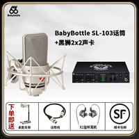 SL-103+Black Lion 2x2 звуковая карта