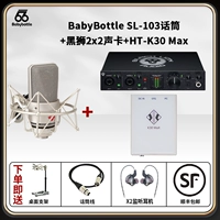 SL-103 + Black Lion 2x2 Звуковая карта + HT-K30 MAX