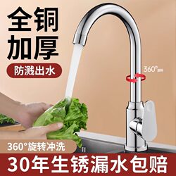 Kitchen Faucet Hot and Cold All-Copper Household Swivel Sink Basin Single Cold Two-In-One Splash-Proof Swivel
