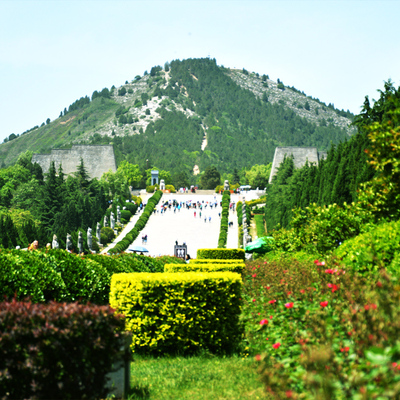 西安飞猪跟团游怎么选？2025最新避坑指南来了！