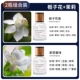 【2 бутылки】 Gardenia Flower+жасмин