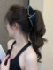 Hepburn Style Back Head Grabber Female 2025 New Shark Clip High-End Accessible Luxury Hair Bow Hairpin Headwear