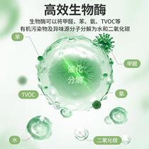 Green Activated Carbon Formaldehyde Removal Room Decorator RDN Uses Car Bamboo Carbon Bags to Adsorb Formaldehyde to Remove New Sources