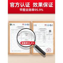 Zhejiang University Ice Chong bamboo charcoal bag deodorization EBK steam activated carbon mattress car suction bag formaldehyde new house carbon indoor