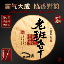 2008 Lao Banzhang Puer tea raw tea Yunnan ancient tree tea more than ten years raw Puer raw tea cake gift for elders