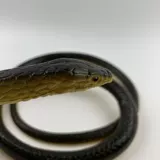 Реалистичный большой силиконовый ластик с животными, игрушка