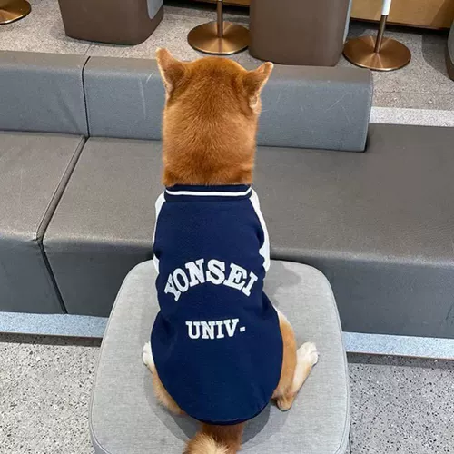 Толстовка для собак на весну, осень и зиму, модный бренд для домашних животных, бишон фризе, померанский шпиц, французский бульдог, шнауцер, двуногая одежда для маленьких собак