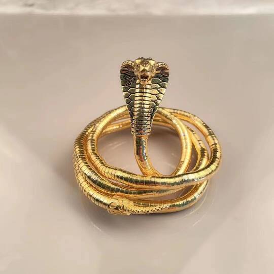 Adjustable Snake-Shaped Necklace with a Cool Dark Design, European and American Hip-Hop Bracelet, Versatile Snake Hip-Hop Accessory