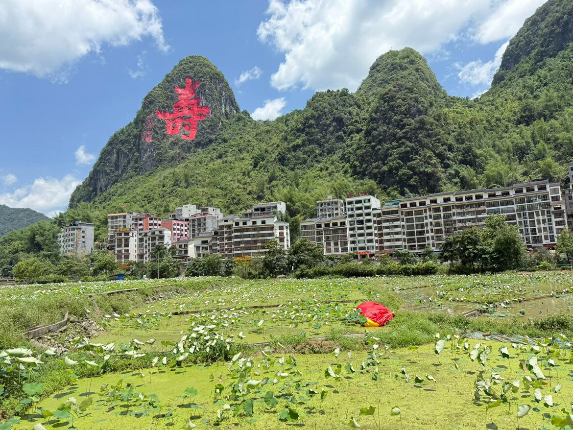 正宗巴马特产