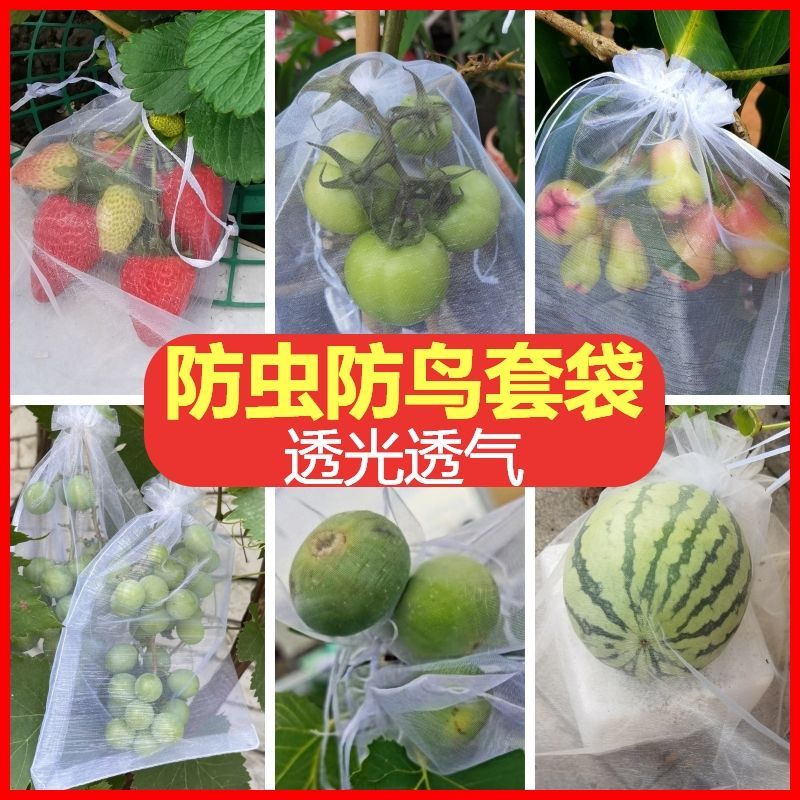 水果套袋防虫防鸟专用网袋西红柿番茄葡萄草莓无花果瓜枇杷保护袋