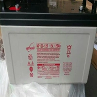 Розовый NP120-12