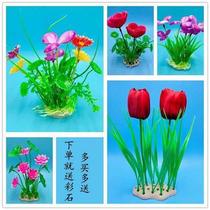 Send the stone fish tank decorated weed aquarium box to fake aquarium plastic weed cloth grass