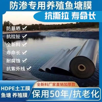 Zhejiang cultured fish pond anti-seepage film plastic PE black film ecological geomembrane aquatic tarpaulin slope protection film water storage and waterproofing