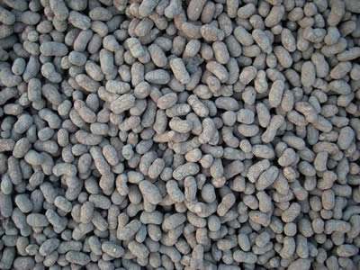 Whole bag of high efficiency bio-shale ceramic filter material 4-6mm water treatment ceramic filter material for landscaping