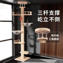 Tongtianzhu Cat Climbing Frame Cat Tree Cat Nest Integrated Top Solid Wood Does Not Occupy Optimus Prime Cat Climb