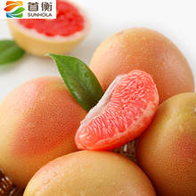 【首衡】南非进口西柚6个共1680g