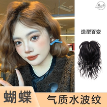 Right part 13 * 14 bottom mesh emulated scalp double-delivery Swiss net water corrugated roll with white hair growth retweeted tablet B