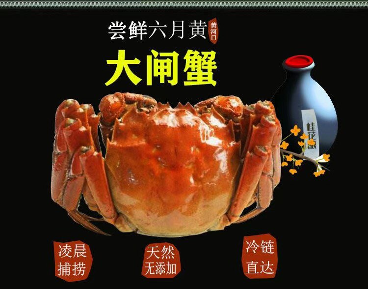 东营鱼哥