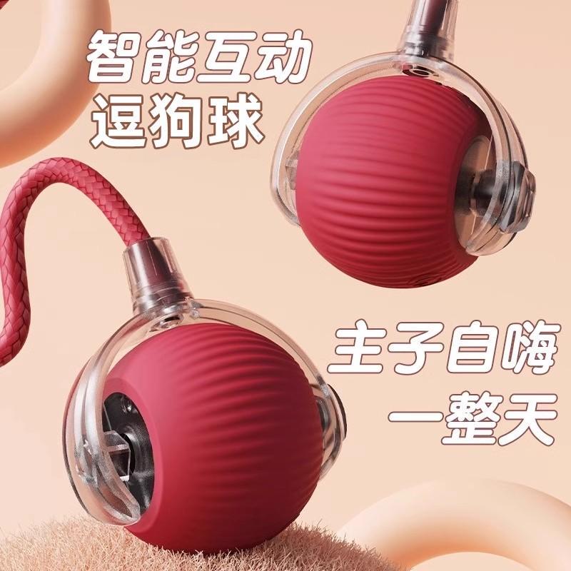 German Premium Automatic Dog Walking Ball Dog Toy Ball Bite-Resistant Self-Entertainment Pet Teaser Dog Ball Puppy Toy