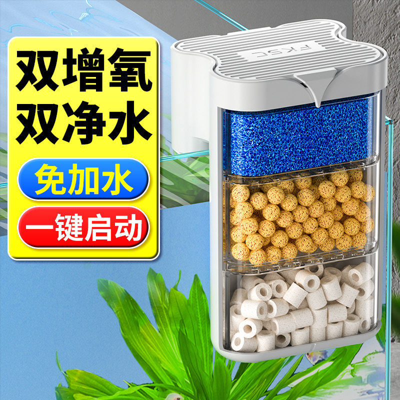 Beautiful view of Goldfish Tank Filtration And Circulation