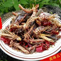 Spicy Grasshopper готовый к употреблению в дегустационную пакет [Гарантия качества]