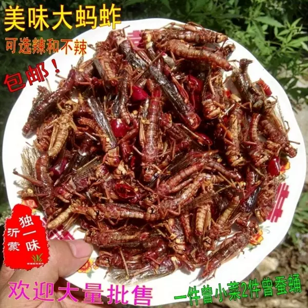 Товары от 时尚百味美食店