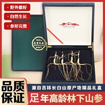 Changbai Mountain understory ginseng gift box full-year understory ginseng 20g whole root soaked in wine for holidays dry goods