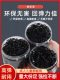 New Disposable Small Rubber Band Versatile Black Women's Hair Tie High Elastic Rubber Band Forest Style Simple ins