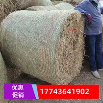 Haystack dry straw farmhouse straw decoration dry straw square round haystack shooting props haystack manufacturer