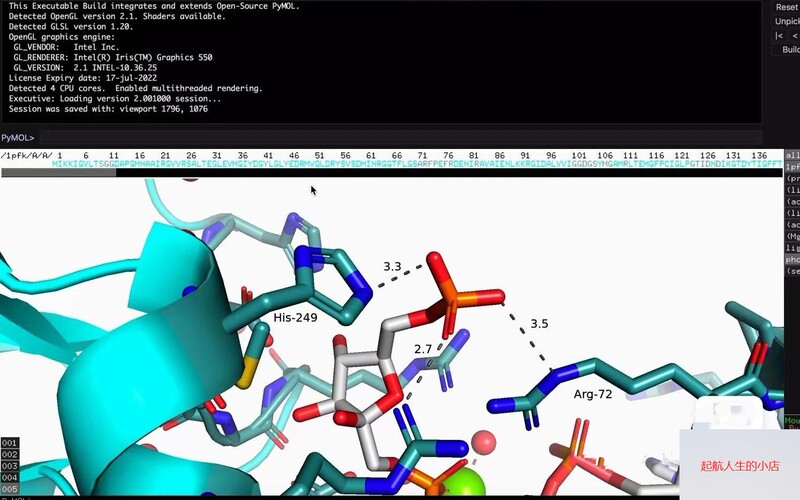 Pymol Generates Drawings Within 24 Hours, and Can Draw 3D Protein Structure Diagrams