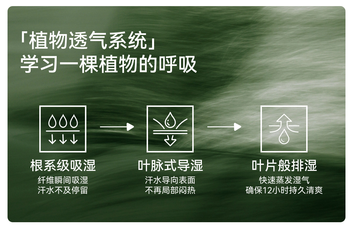英氏孕妇安全裤夏季薄款打底裤26新高腰托腹无痕防走光三分打底裤 — 7