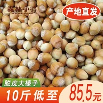 (Special offer for 10 pounds) New peeled hazelnuts Northeast fresh green-skinned large hazelnuts Tieling specialty nuts 500g