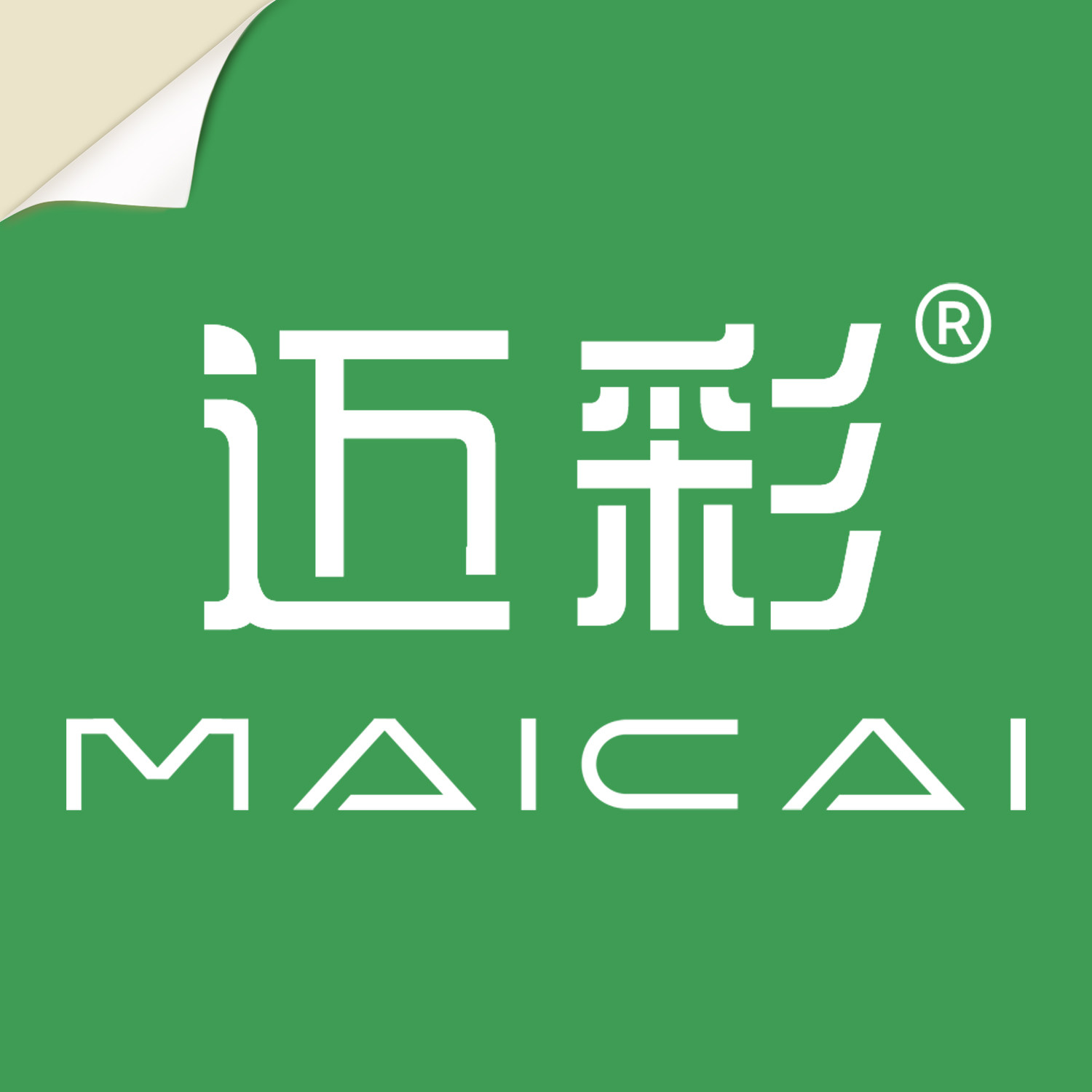 迈彩旗舰店