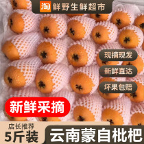 (You can send leaves if you leave a message when the goods are in stock.) Fresh Yunnan Mengzi loquat fruits will be sent directly from Pipa Farm in autumn.